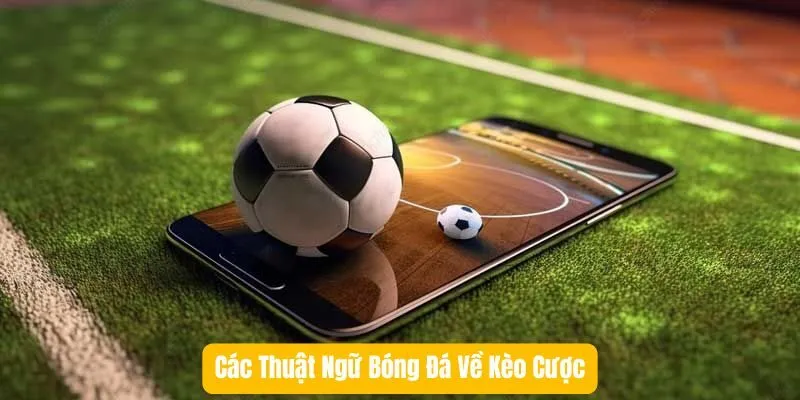 Các Thuật Ngữ Bóng Đá Về Kèo Cược Các Thuật Ngữ Bóng Đá Về Kèo Cược