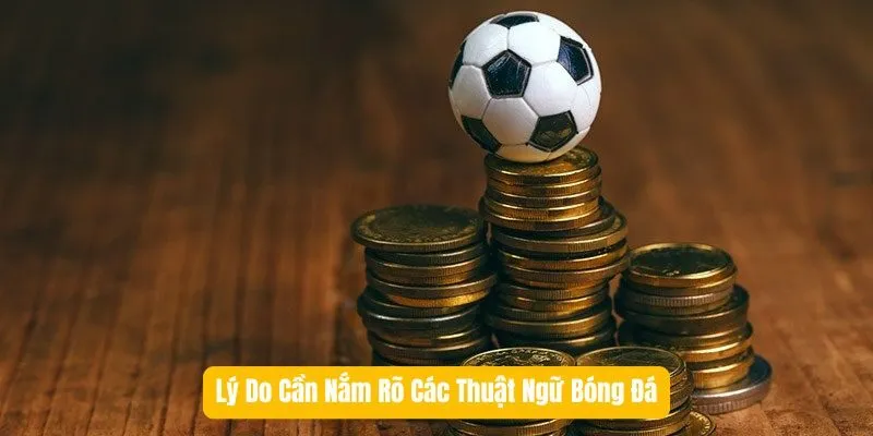 Lý Do Cần Nắm Rõ Các Thuật Ngữ Bóng Đá Lý Do Cần Nắm Rõ Các Thuật Ngữ Bóng Đá